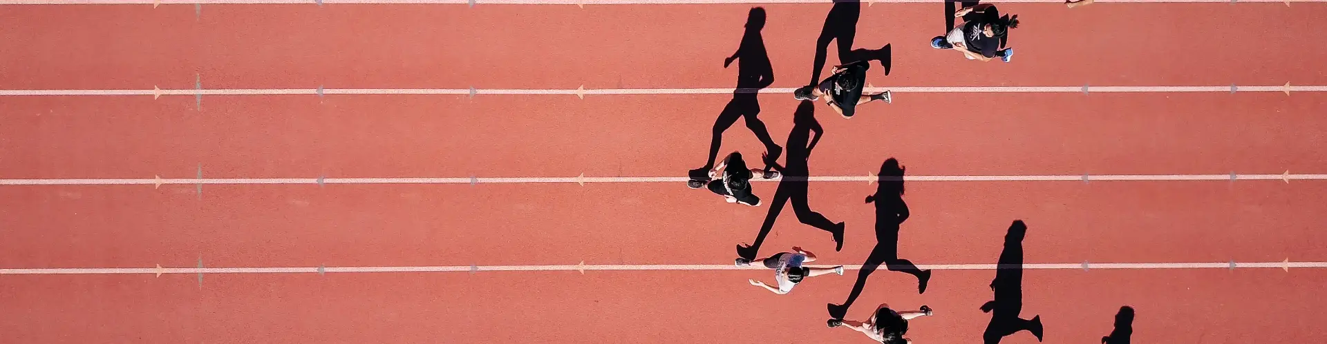 forming in house excellence